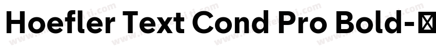 Hoefler Text Cond Pro Bold字体转换